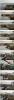 post-2962-1233757141_thumb.jpg
